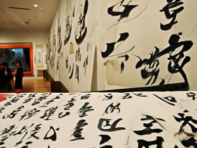 翰墨飘香，2008年首届天朗杯书法名家展盛况回顾